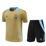 Camiseta de Entrenamiento Argentina 2024 Kit Dorado/Azul