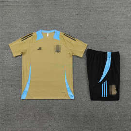 Camiseta de Entrenamiento Argentina 2024 Kit Dorado/Azul