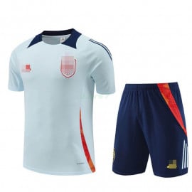 Camiseta de Entrenamiento España 2024 Kit Azul Claro