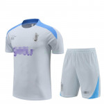 Camiseta de Entrenamiento Tottenham Hotspur 2024/2025 Kit Gris Claro