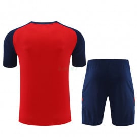 Camiseta de Entrenamiento España 2024 Niño Kit Rojo/Azul Marino