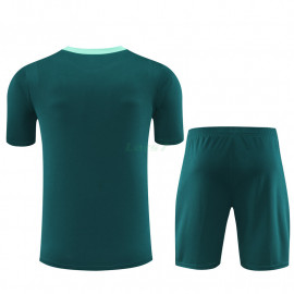 Camiseta de Entrenamiento Tottenham Hotspur 2024/2025 Niño Kit Verde Oscuro