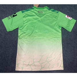 Camiseta Real Betis 2024/2025 Especial Edición Verde