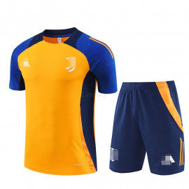 Camiseta de Entrenamiento Juventus 2024/2025 Kit Color Ámbar