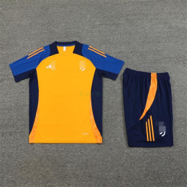 Camiseta de Entrenamiento Juventus 2024/2025 Kit Color Ámbar