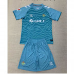 Camiseta de Portero Real Betis 2024/2025 Niño Kit Azul