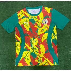 Camiseta Senegal 2025 Pre-Match Verde