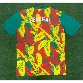 Camiseta Senegal 2025 Pre-Match Verde