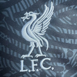 Camiseta de Portero Liverpool 2020/21 Retro Negro