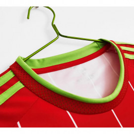 Camiseta Gales 1ª Equipación Retro 2015